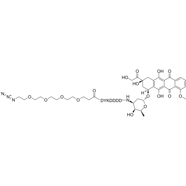 N3-PEG4-DYKDDDD-Doxorubicin