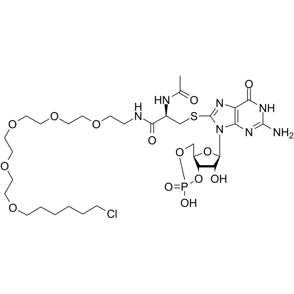 cGMP-HTL(Synonyms: cGMP-HaloTag-ligand)