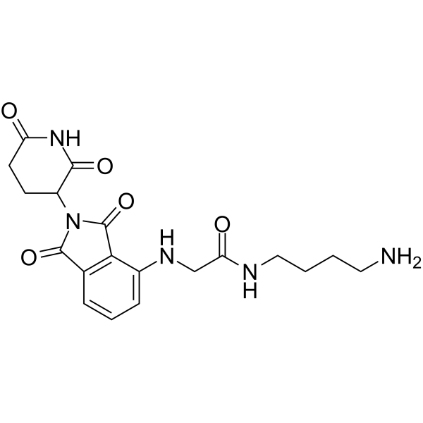 Thalidomide-NH-amido-C4-NH2