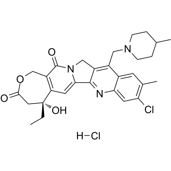 Elomotecan hydrochloride(Synonyms: BN 80927)