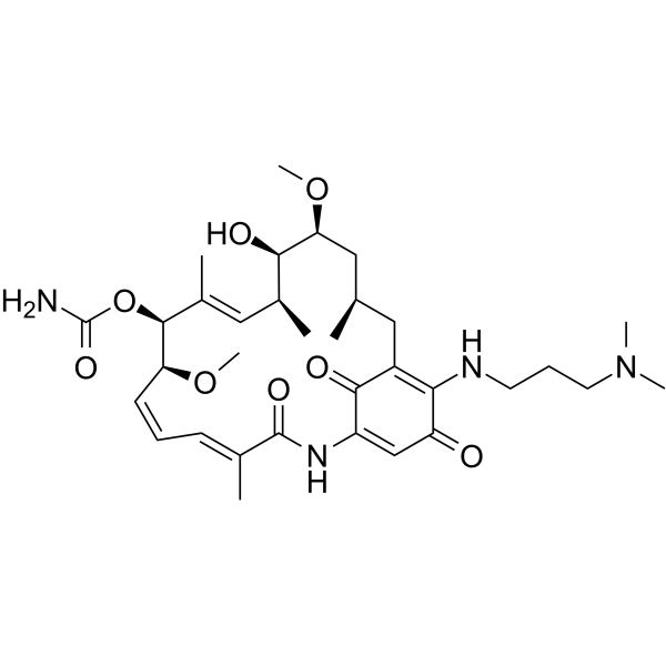 17-DMAP-GA Chemical Structure 17-DMAP-GA