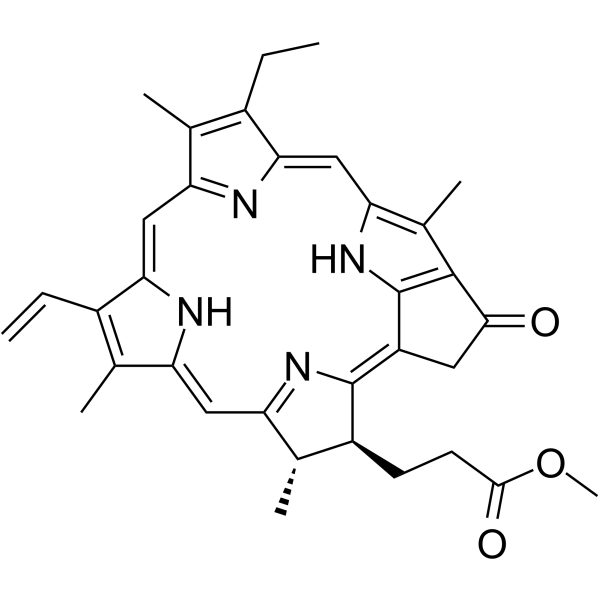 Methyl pyropheophorbide-a Chemical Structure Methyl pyropheophorbide-a(Synonyms: Pyropheophorbide-a methyl ester)