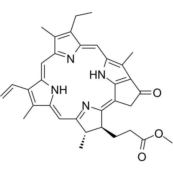 Methyl pyropheophorbide-a(Synonyms: Pyropheophorbide-a methyl ester)