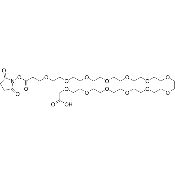 NHS ester-PEG13-COOH Chemical Structure NHS ester-PEG13-COOH
