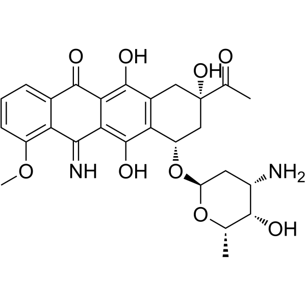 5-Iminodaunorubicin Chemical Structure 5-Iminodaunorubicin(Synonyms: 5-亚氨基柔红霉素)