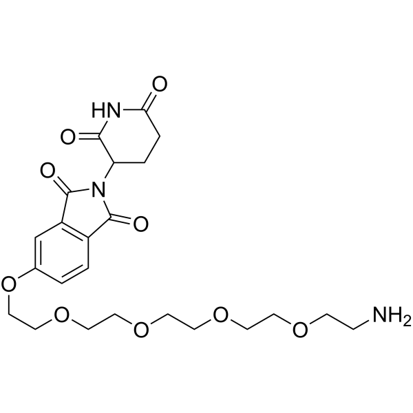 Thalidomide-PEG5-NH2