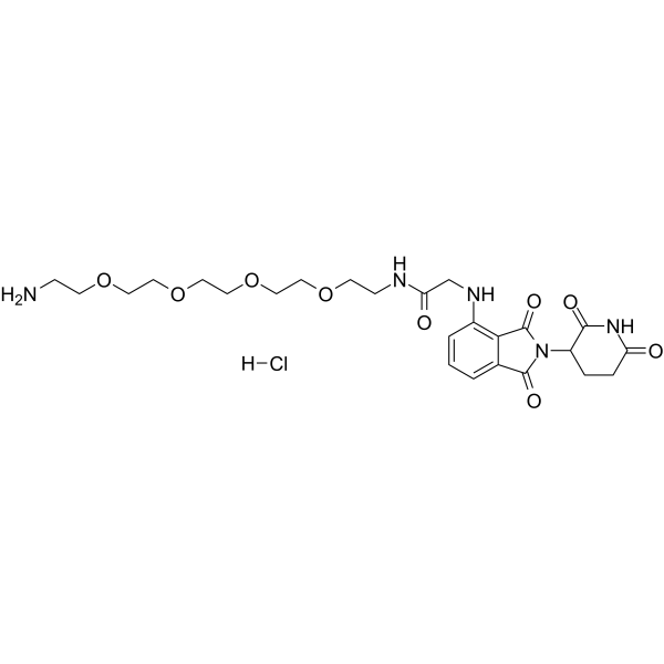 Thalidomide-NH-amido-PEG4-C2-NH2 hydrochloride Chemical Structure Thalidomide-NH-amido-PEG4-C2-NH2 hydrochloride