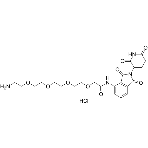 Pomalidomide-amino-PEG4-NH2 hydrochloride