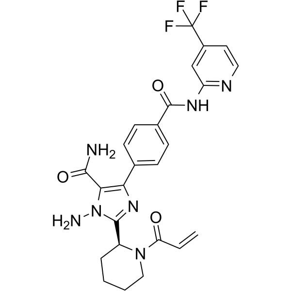 BTK inhibitor 19
