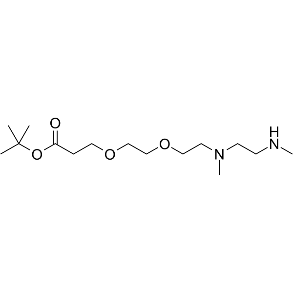 N,N'-DME-N-PEG2-Boc Chemical Structure N,N