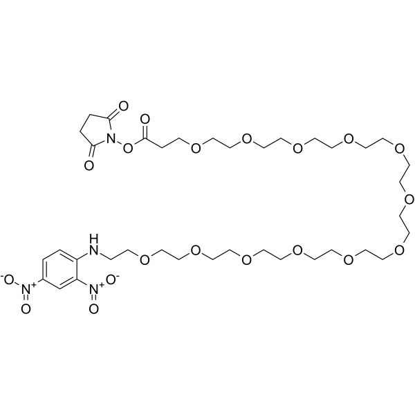 DNP-PEG12-NHS ester Chemical Structure DNP-PEG12-NHS ester