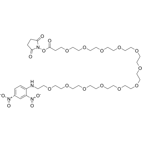 DNP-PEG12-NHS ester