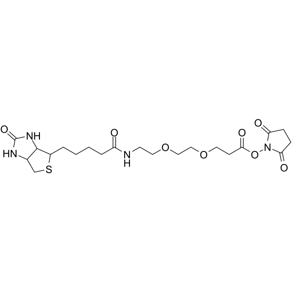 Biotin-PEG2-NHS ester Chemical Structure Biotin-PEG2-NHS ester
