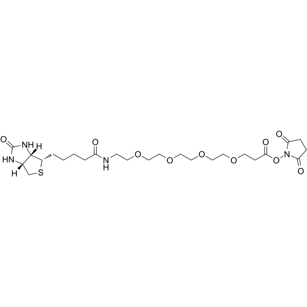 Biotin-PEG4-NHS ester Chemical Structure Biotin-PEG4-NHS ester