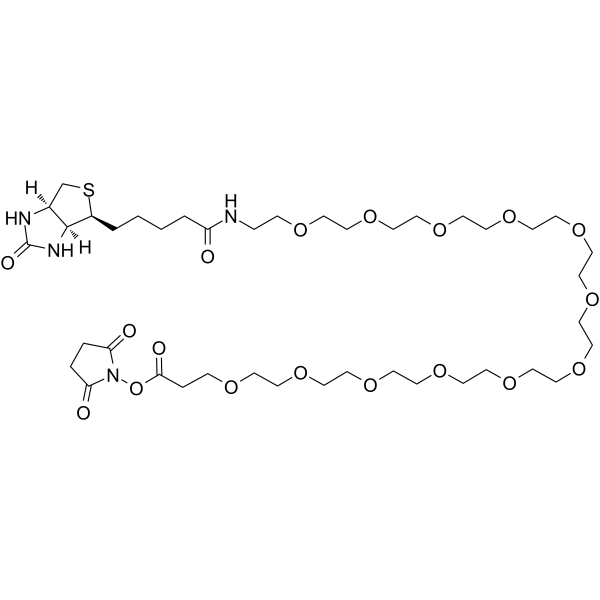 Biotin-PEG12-NHS ester Chemical Structure Biotin-PEG12-NHS ester