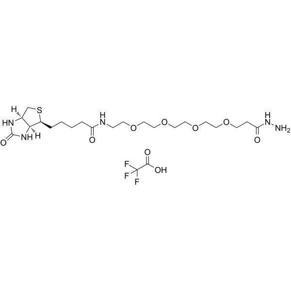 Biotin-PEG4-hydrazide TFA Chemical Structure Biotin-PEG4-hydrazide TFA