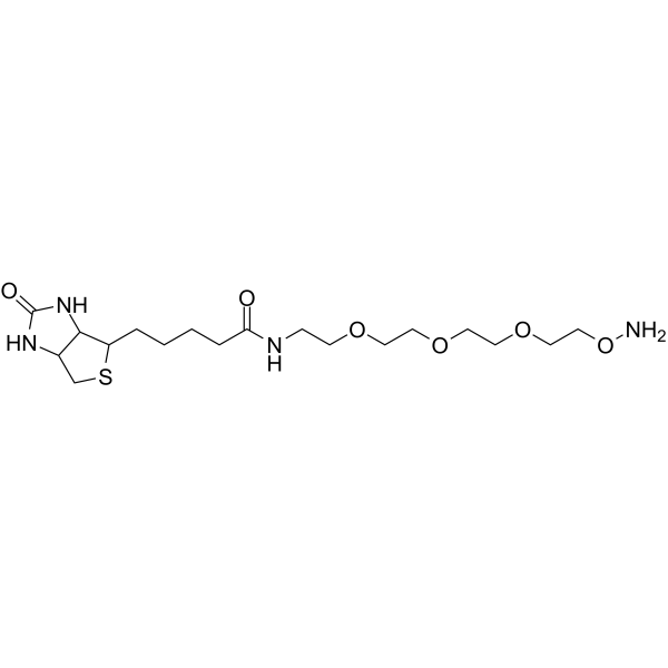 Biotin-PEG3-oxyamine