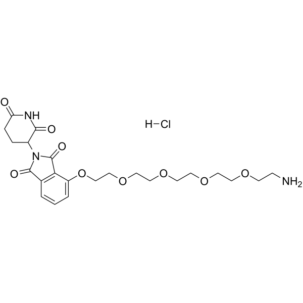 Thalidomide-O-PEG4-amine hydrochloride