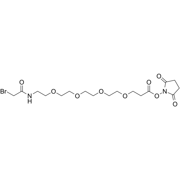 Bromoacetamido-PEG4-NHS ester