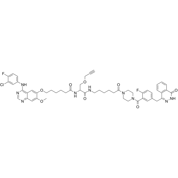 Dual PARP EGFR ligand for PROTAC Chemical Structure Dual PARP EGFR ligand for PROTAC