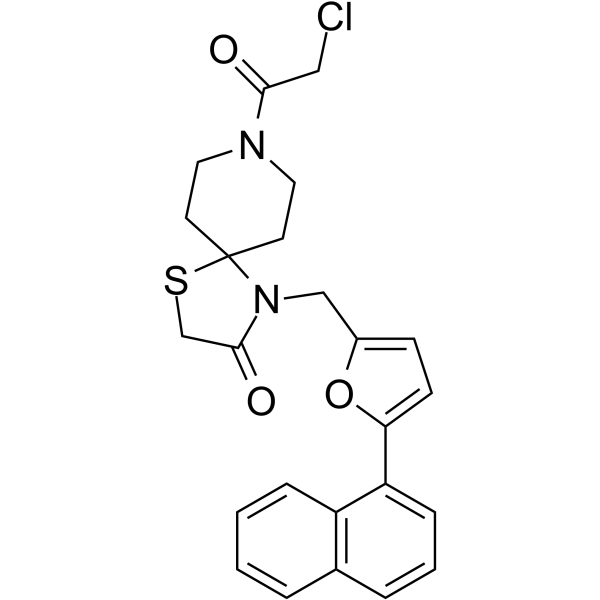 ZL-Pin13