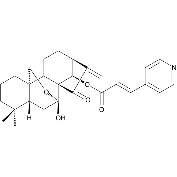 Anticancer agent 26