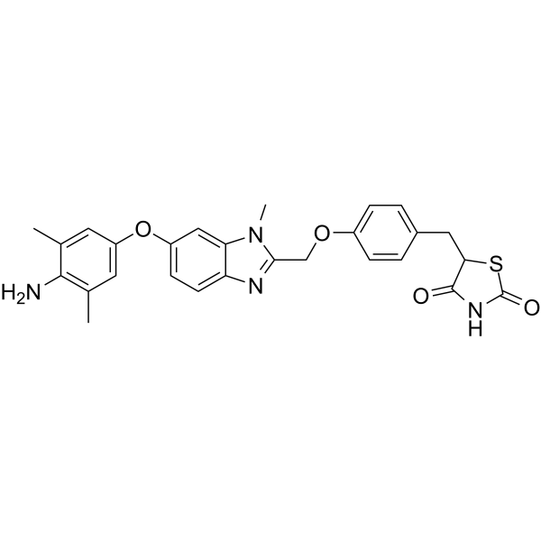 Inolitazone(Synonyms: Efatutazone;  CS-7017;  RS5444)