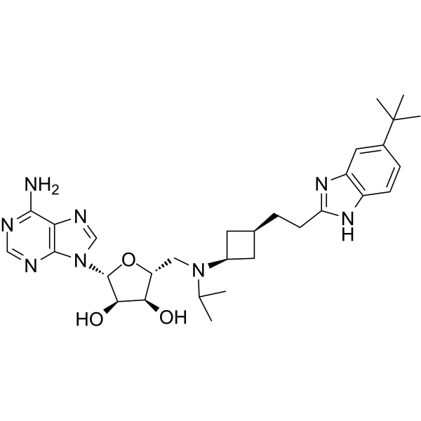 Pinometostat(Synonyms: EPZ-5676)