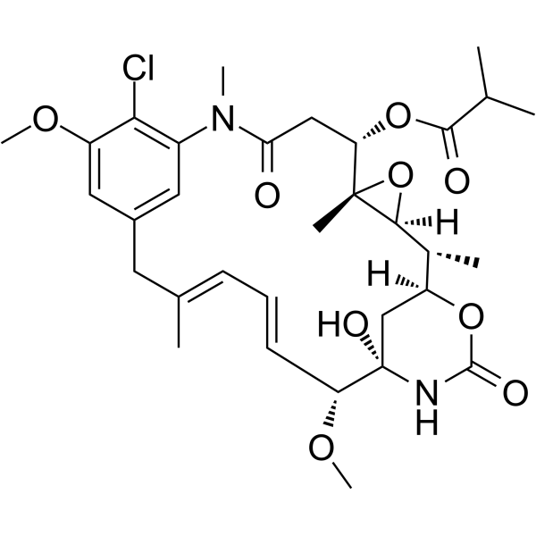 Ansamitocin P-3(Synonyms: Antibiotic C 15003P3;  Maytansinol isobutyrate)