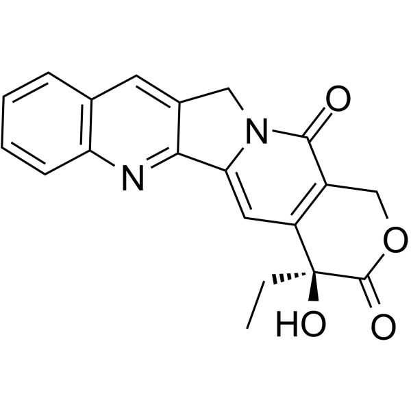 Camptothecin(Synonyms: 喜树碱; Campathecin;  (S)-(+)-Camptothecin;  CPT)