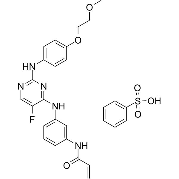Spebrutinib besylate(Synonyms: AVL-292 benzenesulfonate; CC-292 besylate)
