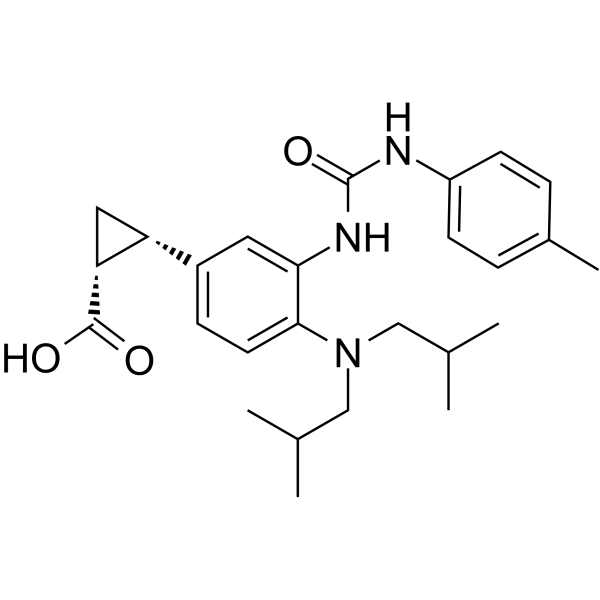 IDO-IN-4