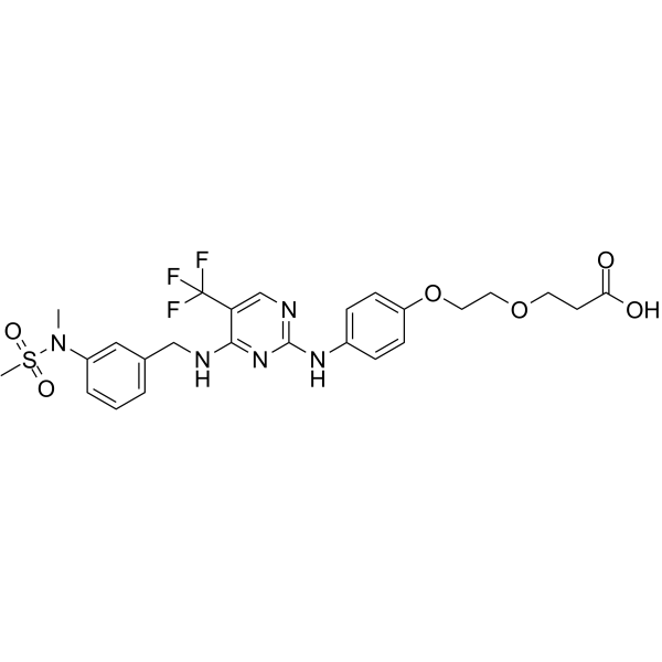 FAK ligand-Linker Conjugate 1 Chemical Structure FAK ligand-Linker Conjugate 1
