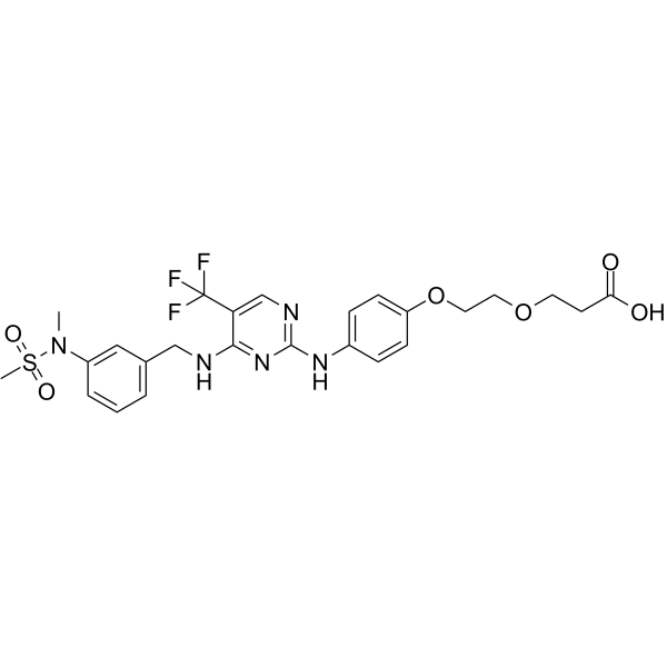 FAK ligand-Linker Conjugate 1