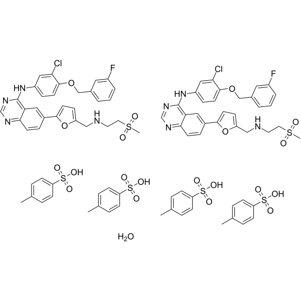 Lapatinib ditosylate(Synonyms: GW572016 ditosylate monohydrate; GW2016 ditosylate monohydrate)