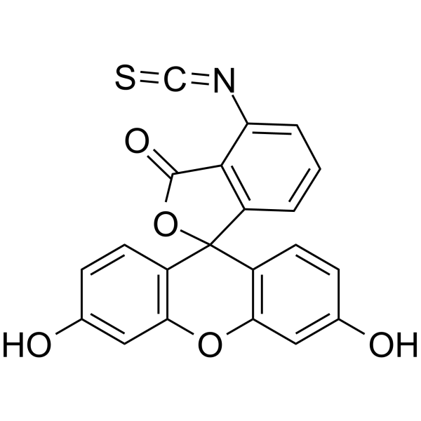 6-FITC(Synonyms: 6-异硫氰酸荧光素; 6-Fluorescein Isothiocyanate)