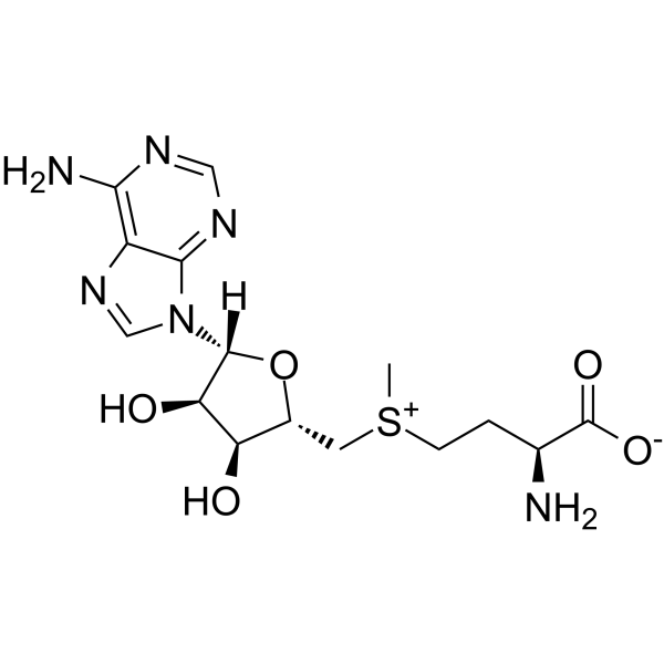 S-Adenosyl-L-methionine(Synonyms: S-Adenosyl methionine;  Ademetionine;  AdoMet)