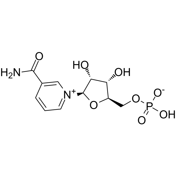 β-Nicotinamide mononucleotide(Synonyms: 烟酰胺单核苷酸; β-NM;  NMN)