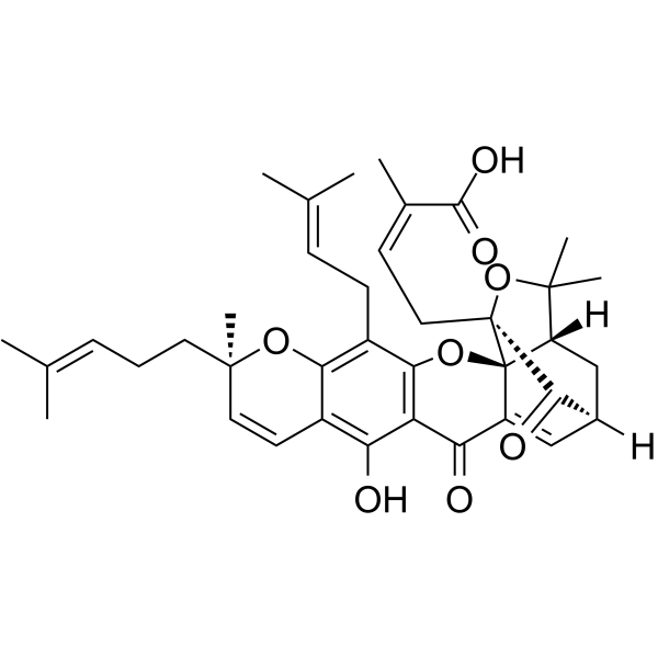 Gambogic Acid(Synonyms: 藤黄酸; Beta-Guttiferrin)