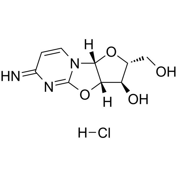 Ancitabine hydrochloride(Synonyms: Cyclocytidine hydrochloride;  Cyclo-CMP hydrochloride;  Cyclo-C)