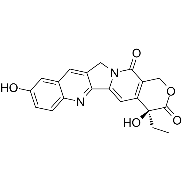 (S)-10-Hydroxycamptothecin(Synonyms: 10-羟基喜树碱; 10-HCPT;  10-Hydroxycamptothecin)