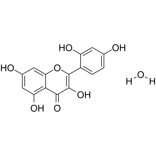 Morin monohydrate