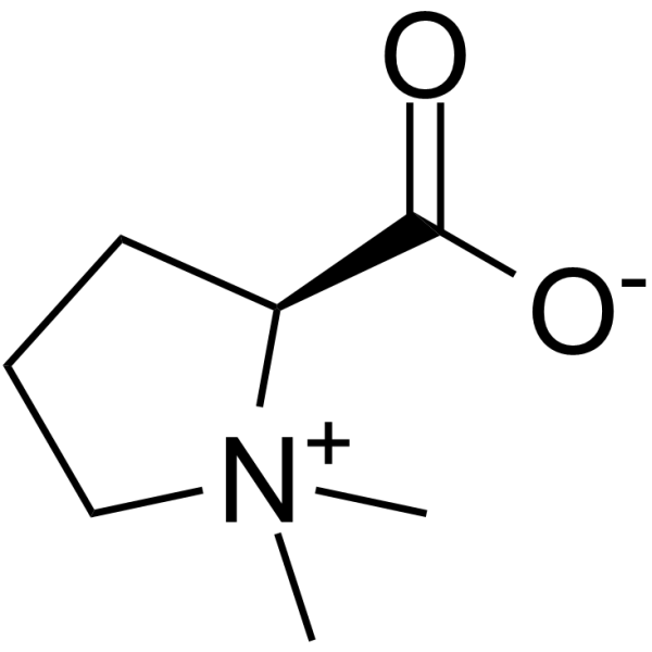 Stachydrine(Synonyms: 水苏碱)