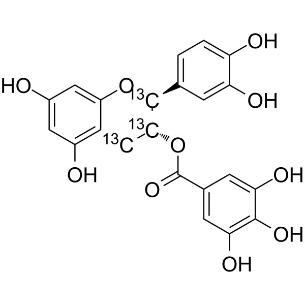 (+/-)-Catechin Gallate-13C3(Synonyms: 儿茶素没食子酸酯 13C3)