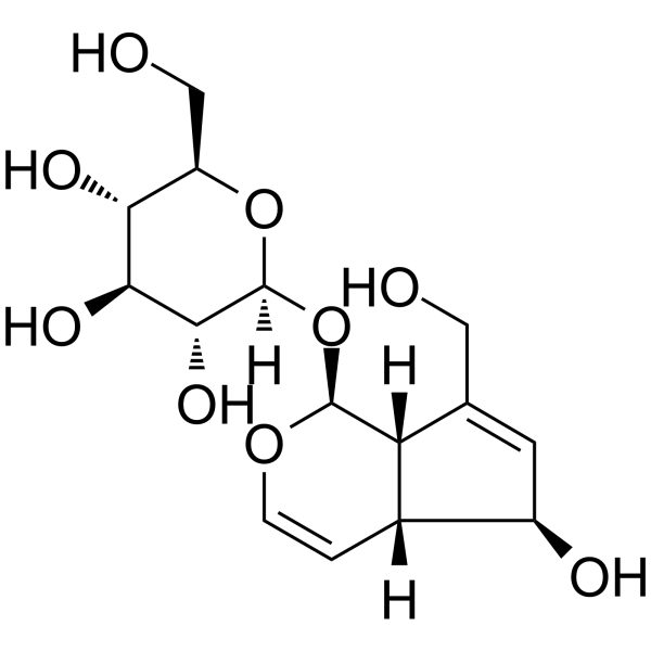 Aucubin Chemical Structure Aucubin(Synonyms: 桃叶珊瑚苷)