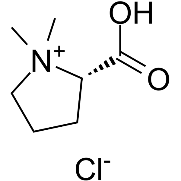 Stachydrine hydrochloride(Synonyms: 盐酸水苏碱)