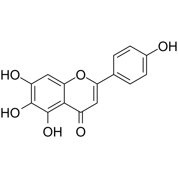Scutellarein(Synonyms: 野黄芩素; 6-Hydroxyapigenin;  4