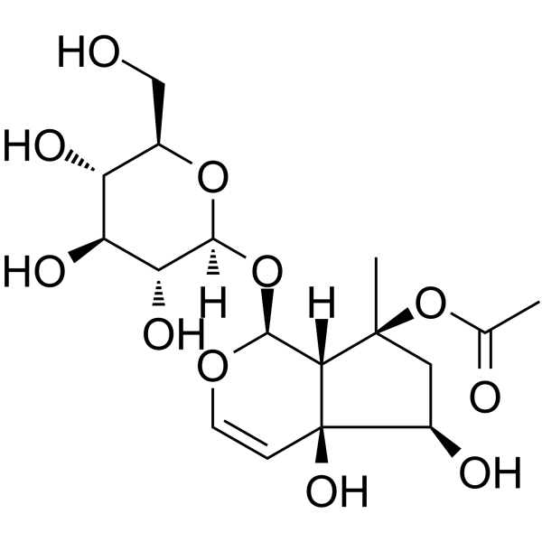 8-​O-​Acetylharpagide(Synonyms: 8-O-乙酰哈巴苷)