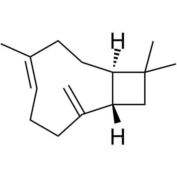 β-Caryophyllene(Synonyms: β-石竹烯; (-)-(E)-Caryophyllene;  (−)-β-caryophyllene;  (−)-trans-Caryophyllene)