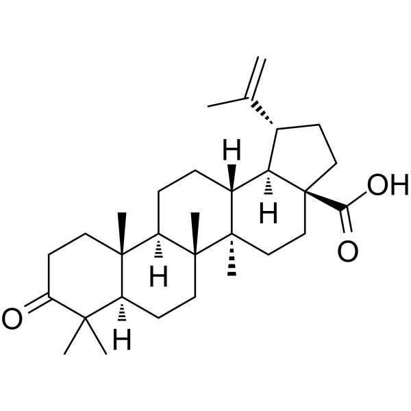 Betulonic acid(Synonyms: 路路通酸; Betunolic acid;  Liquidambaric acid;  (+)-Betulonic acid)